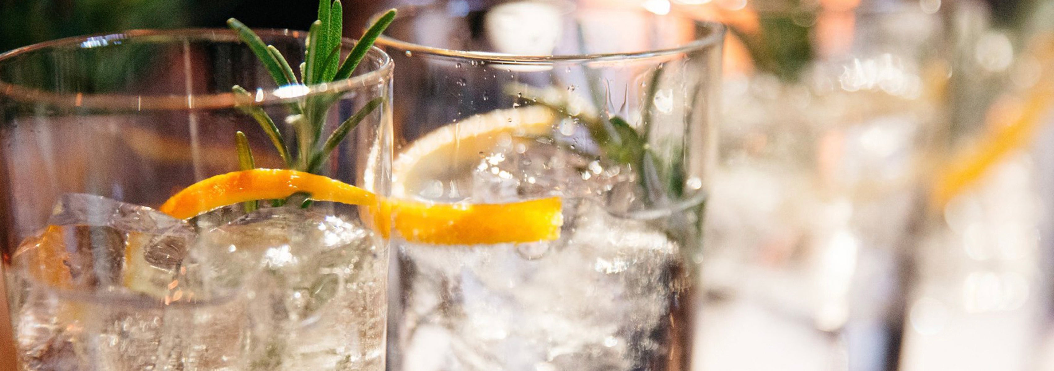 The Inebriated History of the Gin & Tonic 